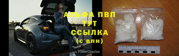 марки lsd Новозыбков