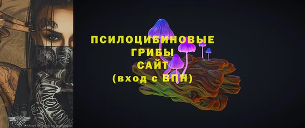 марки lsd Новозыбков